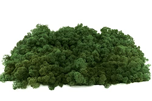 INMO Moos - Islandmoos echtes Natur Moos konserviert 100g Laubgrün. Dekomoos zum Basteln, Moosbild, Wand-Bilder, Wanddeko, Modellbau weitere Farben und Mengen zur Auswahl 40g - 500g 1 KG - 4 KG INMO Moos - Islandmoos echtes Natur Moos konserviert 100g Laubgrün. Dekomoos zum Basteln, Moosbild, Wand-Bilder, Wanddeko, Modellbau weitere Farben und Mengen zur Auswahl 40g - 500g 1 KG - 4 KG von INMO