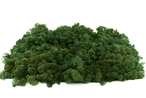 INMO Moos - Islandmoos echtes Natur Moos konserviert 200g Laubgrün. Dekomoos zum Basteln, Moosbild, Wand-Bilder, Wanddeko, Modellbau weitere Farben und Mengen zur Auswahl 40g - 500g 1 KG - 4 KG von INMO