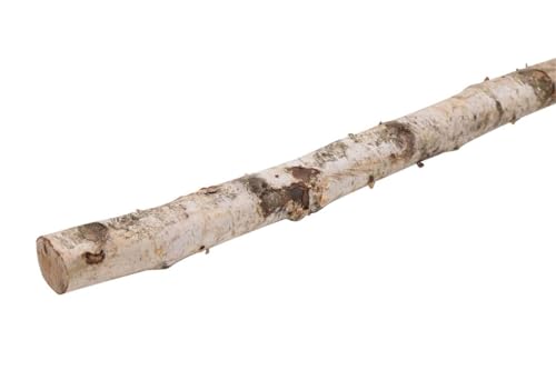 INNA-Glas Birke Dekostamm CALAM, Natur, 150cm, Ø4cm - Birkenstamm von INNA-Glas