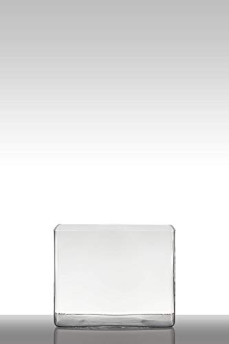 INNA-Glas Blumentopf Glas MIRJA, Quader - rechteckig, klar, 25x18x20cm - Windlicht - Deko Glas INNA-Glas Blumentopf Glas MIRJA, Quader - rechteckig, klar, 25x18x20cm - Windlicht - Deko Glas von INNA-Glas