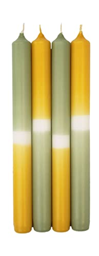 INNA-Glas Dip Dye Stabkerzen LISSITA, 4 Stück, hellgrün-gelb, 25cm, Ø2,3cm, 11h - Tafelkerze von INNA-Glas