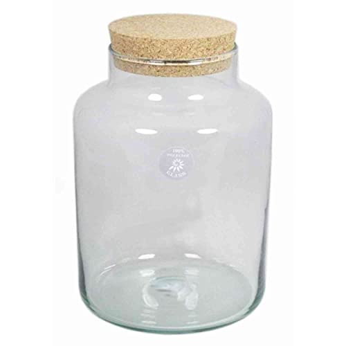 INNA-Glas Glasbehälter DOGAN, Korkdeckel, Zylinder - Rund, klar, 29,5cm, Ø 21cm - Glasgefäß - Aufbewahrungsglas INNA-Glas Glasbehälter DOGAN, Korkdeckel, Zylinder - Rund, klar, 29,5cm, Ø 21cm - Glasgefäß - Aufbewahrungsglas von INNA-Glas
