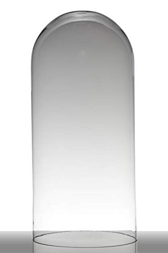 INNA-Glas Glashaube - Glasglocke Adelina, Zylinder - Rund, klar, 62cm, Ø 28cm - Zylinderglas - Glas Kuppel von INNA-Glas