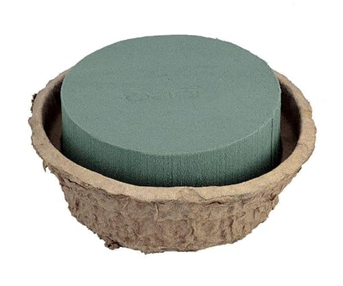 INNA-Glas Oasis Runde Nass-Steckmasse Schale ZAZIl für Gestecke, Biolit Altpapier Schale, grün, 6cm, Ø14cm - Nasssteckschwamm von INNA-Glas