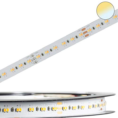 INNOVATE LED Strip Streifen Band InnoPro 2.0 weißdynamisch CCT - Homogen - Linear - 24V, 24W/280 LED/M, IP20, CRI90 Stripes Leiste Lichtleiste Bänder von INNOVATE