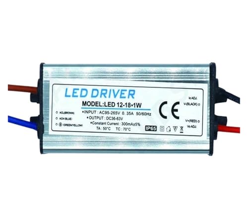 INOJIKGV Wasserdichter IP65-LED-Treiber 25–36 W 18–25 W 12–25 W 8–12 W 4–7 W 1–3 W Netzteil 250 mA 300 mA Konstantstrom-Spannungsbirne(300mA DC36-63V) von INOJIKGV