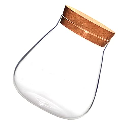 INOOMP Terrarium Vase mit Korkverschluss für Sukkulenten und Moos Transparente Pflanzenschale Selbstgemacht Kunsthandwerk Dekorative Aufbewahrung für Zuhause 1Stück von INOOMP