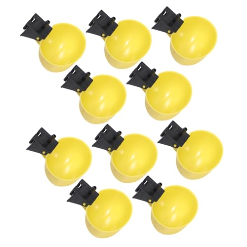 INOOMP 10 Stück Teiliges Automatischer Vogeltränken aus Sicherem Formstabilem Material Wasserfest und Leicht zu Reinigen Geeignet für Tauben und Wildvögel Dekorativ für Innen von INOOMP