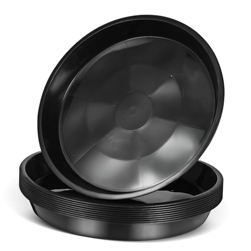 INOOMP 10 Stück Teiliges von Blumenkübel Untersetzern Praktischer Blumentopf Tablett für Innen und Außeneinsatz zur Präsentation Ihrer Pflanzen Design Leicht und Langlebig Einfach von INOOMP
