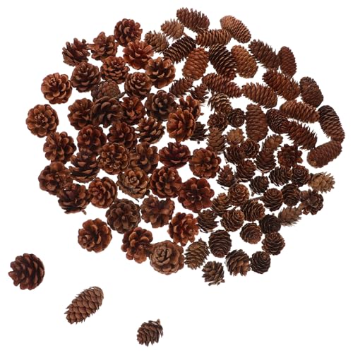 INOOMP 120 Stück Tannenzapfen zum Basteln: Miniatur-Tannenzapfen – Tannenzapfen zum Dekorieren von Weihnachtsfeiern – Schnee-Tannenzapfen zum Basteln von Weihnachtskränzen von INOOMP