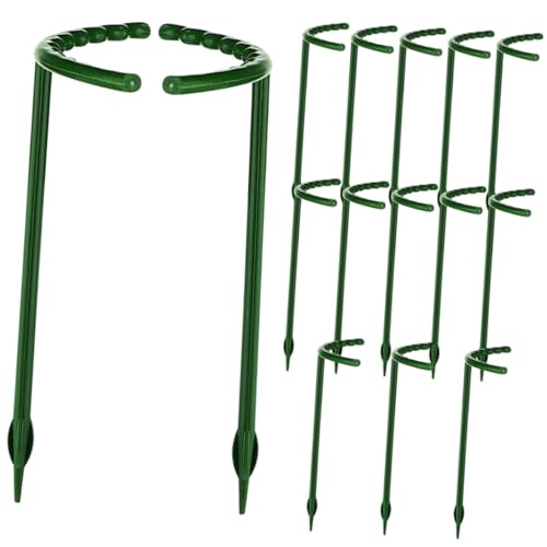 INOOMP 15 Stück Teiliges Pflanzenstützen Kletterpflanzen Halbrunde Rankhilfe aus Grünem Stabiler Pflanzensupport für Indoor und Garten für Hohe Topfpflanzen und Gemüse von INOOMP