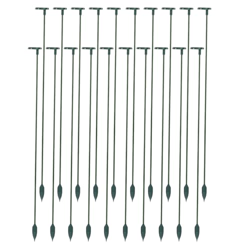 INOOMP 20 Stück Pflanzenstützstäbe: Stützstäbe für den Garten, Einzelstamm, 48,3 cm – Pflanzenkäfigringe für drinnen und draußen, Orchideen, Rosen, Tomaten und Blumen INOOMP 20 Stück Pflanzenstützstäbe: Stützstäbe für den Garten, Einzelstamm, 48,3 cm – Pflanzenkäfigringe für drinnen und draußen, Orchideen, Rosen, Tomaten und Blumen von INOOMP