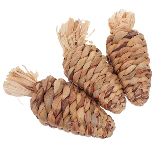 INOOMP 3 Stück Stroh Karotten Futtersuche Kaninchen Hamster Kaninchen Meerschweinchen Outdoor Hamster Kauspielzeug Zahn Hase Heimtierbedarf Lustiges Hamster von INOOMP