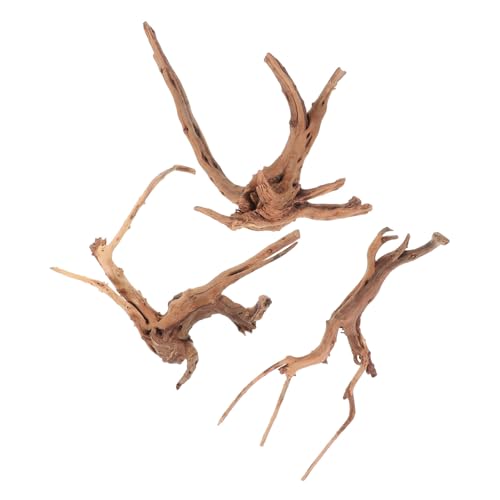 INOOMP 3 Stück Teiliges Aquarium Holz Deko Natürliche Reptil Zweige Lebensecht Fischtank Ornamente Aquarium Dekoration Äste für Terrarien und Aquarien von INOOMP