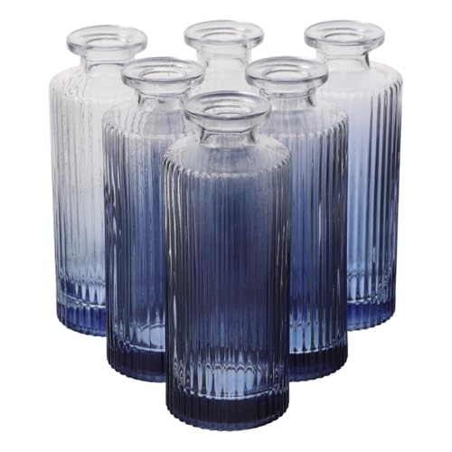 INOOMP 6 Stück Glas-Aromatherapie-Flaschen – Dekorativer Duftbehälter – Vintage-Parfümfläschchen mit römischer Säulenstruktur – Öldiffusor INOOMP 6 Stück Glas-Aromatherapie-Flaschen – Dekorativer Duftbehälter – Vintage-Parfümfläschchen mit römischer Säulenstruktur – Öldiffusor von INOOMP