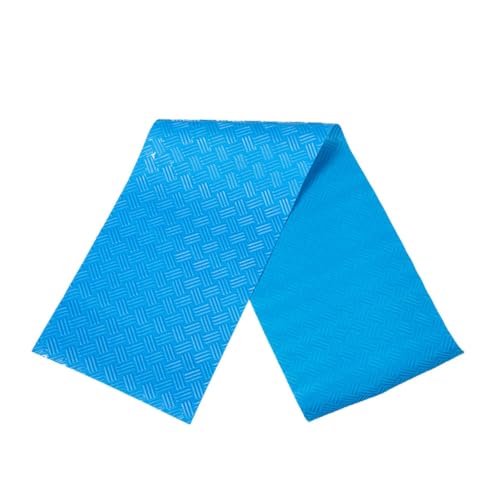 INOOMP Anti-Rutsch-Stiefkissen rutschfeste Poolleitermatte Schwimmbad-Trittpolster rutschfeste Pool-Treppenmatte rutschfeste Pool-Stufenmatte oberirdische Poolleiter Matte PVC Blau von INOOMP