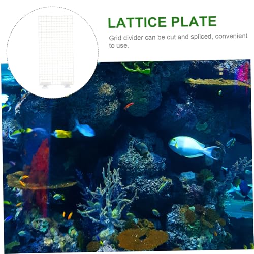 INOOMP Aquarium Trennwand Lattice Panel Transparent mit Saugnäpfen Spaltbare Isolationsplatte für Fischtrennung Zucht und Aquarienfilter Einfach zu Montieren und Zufällige Farbe von INOOMP