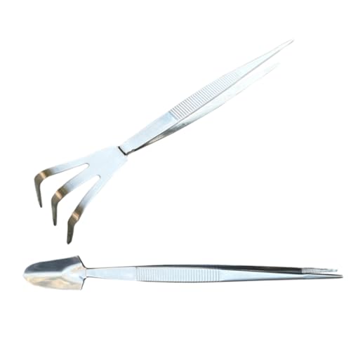 INOOMP Edelstahl Bonsai Pinzette und Rechen Set Präzisionswerkzeug für Moospflege und Feinarbeit Ergonomischer Griff Kompakt und Langlebig für Bonsai und Pflanzpflege von INOOMP
