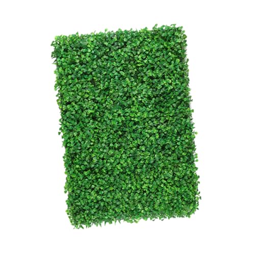 INOOMP Künstliches Gras für Garten und Innenbereich Hochwertige Kunstrasenmatte für Dekorative Wandgestaltung und Miniaturgärten Wetterfest und Langlebig INOOMP Künstliches Gras für Garten und Innenbereich Hochwertige Kunstrasenmatte für Dekorative Wandgestaltung und Miniaturgärten Wetterfest und Langlebig von INOOMP