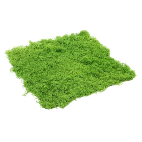 INOOMP Simuliertes Fadenmoos Gefälschter Moosteppich Sphagnum Dekorativer Kunstrasen Gefälschte Grasmatte Für Moos Gefälscht Simulieren Falsches Live Farn Perlenbaumwolle Hellgrün von INOOMP