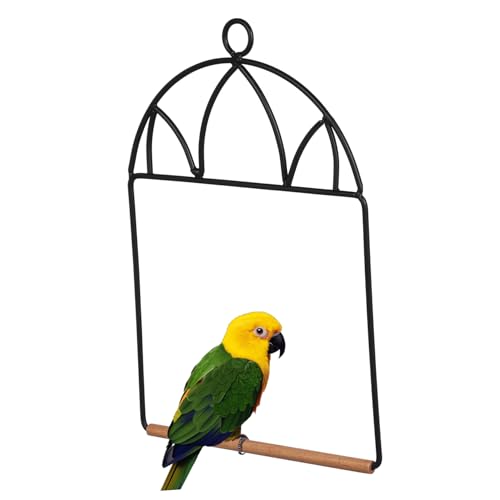 INOOMP Tragbare Vogelstange aus Eisen und Holz Hängende Sitzstange für kleine Vögel und Papageien Wetterfester Vogelkäfig Zubehör für Garten Balkon und Innenbereich Dekorativer von INOOMP