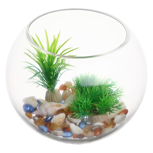 INOOMP Transparente Runde Glasschale als Goldfischglas und Aquarium Vielseitiger Desktop Wohnzimmertank für Pflanzen und Dekoration Kompakt und Modern für Büro und Zuhause Klare Sicht von INOOMP