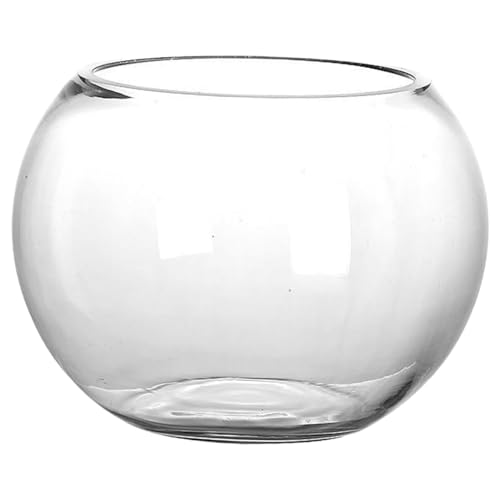 INOOMP Transparenter Runder Glas Fischtank für Schreibtisch Multifunktionales Aquarium und Hydrokultur Vase Fallender Mikro Landschaftsfischbehälter für Büro und Zuhause INOOMP Transparenter Runder Glas Fischtank für Schreibtisch Multifunktionales Aquarium und Hydrokultur Vase Fallender Mikro Landschaftsfischbehälter für Büro und Zuhause von INOOMP