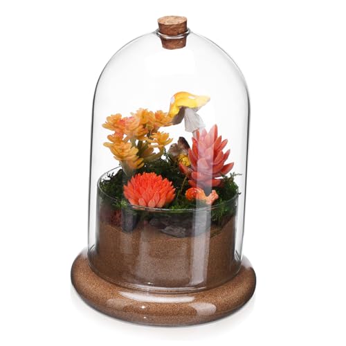 Terrarium mit Luftloch Mikrolandschaft Vase für Pflanzen Deko Element für Sukkulenten und Blumenarrangements Terrarium mit Luftloch Mikrolandschaft Vase für Pflanzen Deko Element für Sukkulenten und Blumenarrangements von INOOMP