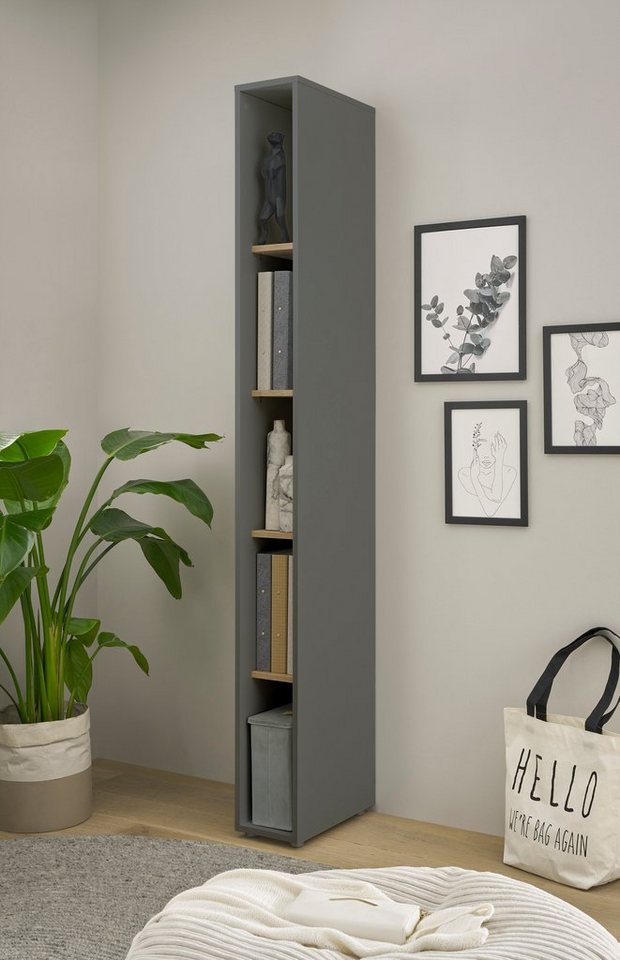 INOSIGN Aktenregal CiTY/GiRON INOSIGN Aktenregal CiTY/GiRON von INOSIGN