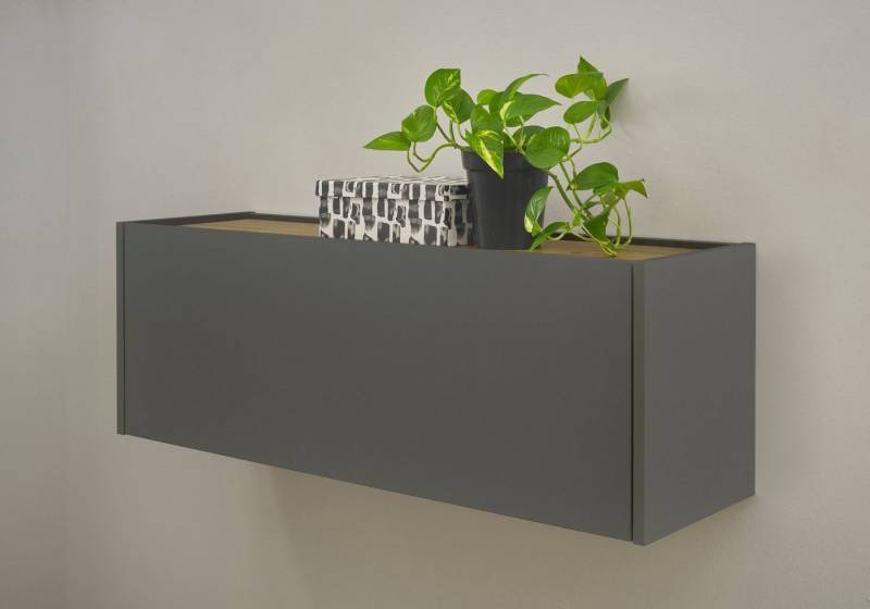 INOSIGN Mehrzweckschrank GiRON/CiTY, Wandgarderobe in vier Farben, Wandschrank Hängeschrank zeitlos modern, wohnliches Home Office, Breite 100 cm INOSIGN Mehrzweckschrank GiRON/CiTY, Wandgarderobe in vier Farben, Wandschrank Hängeschrank zeitlos modern, wohnliches Home Office, Breite 100 cm von INOSIGN