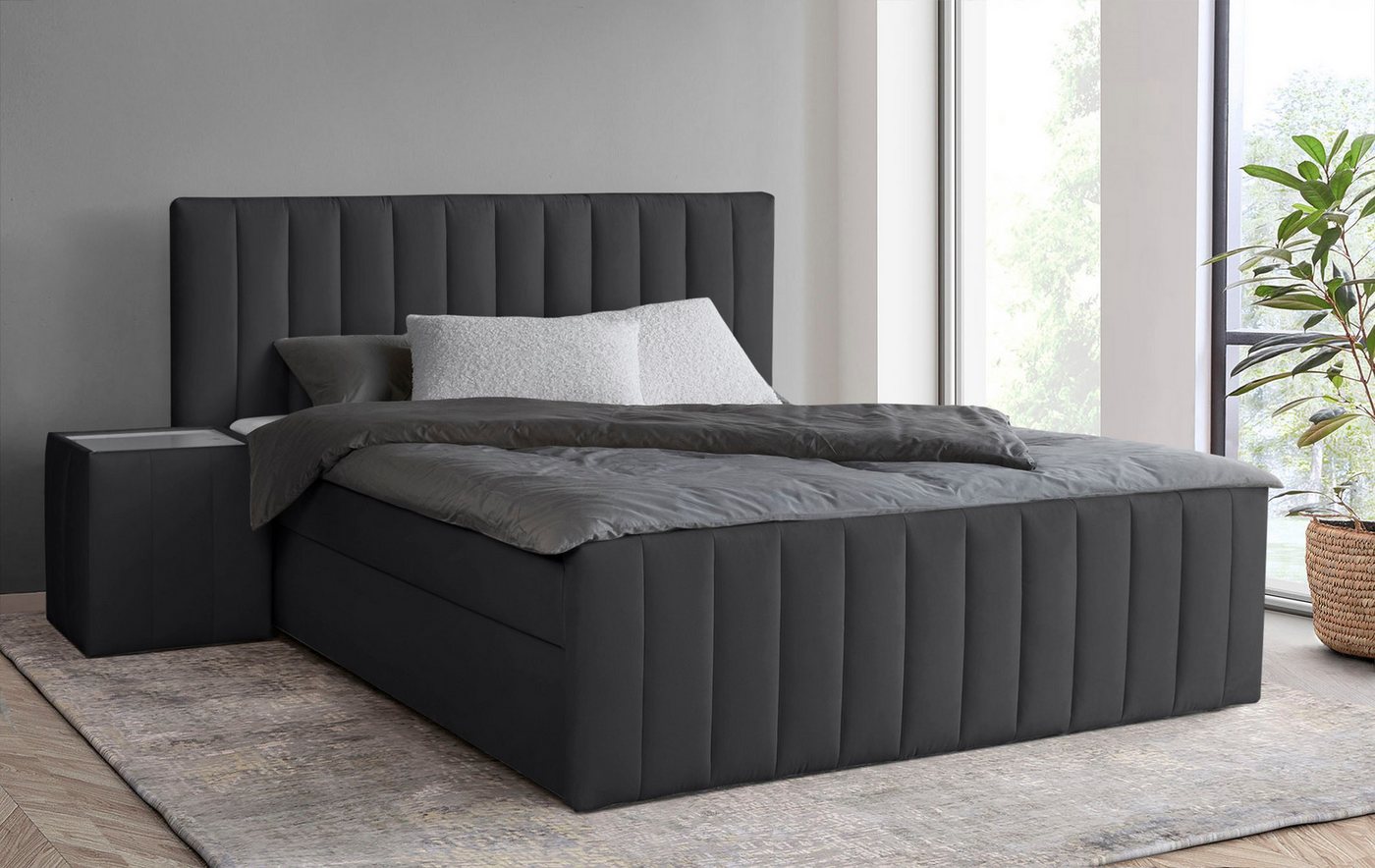 INOSIGN Boxbett Effy inkl. Bettkasten und Topper, erhältlich in der Breite 180x200cm, verschiedene Härtegrade wählbar INOSIGN Boxbett Effy inkl. Bettkasten und Topper, erhältlich in der Breite 180x200cm, verschiedene Härtegrade wählbar von INOSIGN