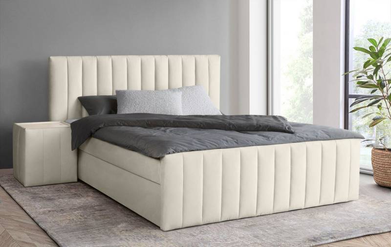 INOSIGN Boxbett Effy inkl. Bettkasten und Topper, erhältlich in der Breite 180x200cm, verschiedene Härtegrade wählbar von INOSIGN