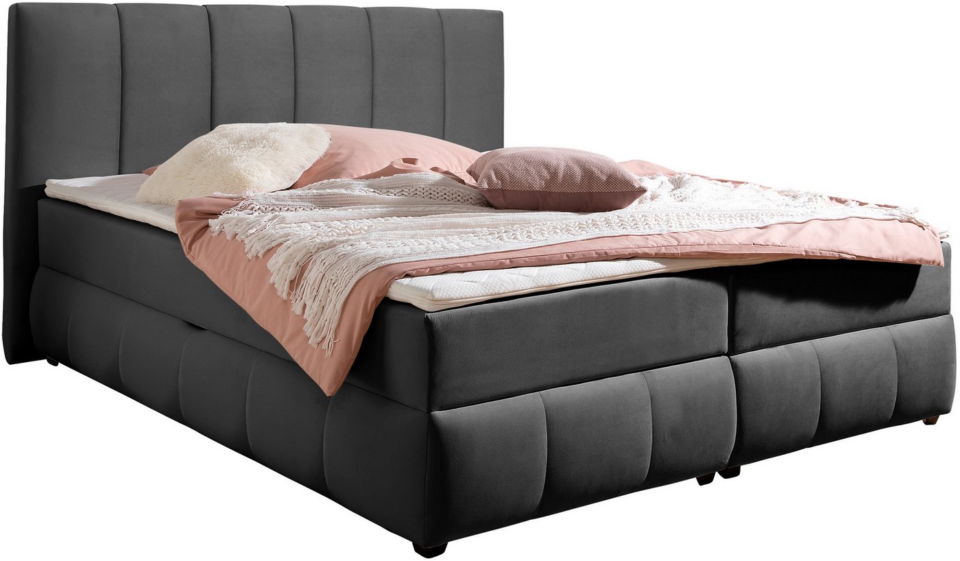 INOSIGN Boxbett Hartley inkl. Bettkasten und Topper, auch in Überlänge erhältlich, wahlweise mit Bonnell- oder TTFK-Matratze in H2, H3 o. H4 erhältlich INOSIGN Boxbett Hartley inkl. Bettkasten und Topper, auch in Überlänge erhältlich, wahlweise mit Bonnell- oder TTFK-Matratze in H2, H3 o. H4 erhältlich von INOSIGN