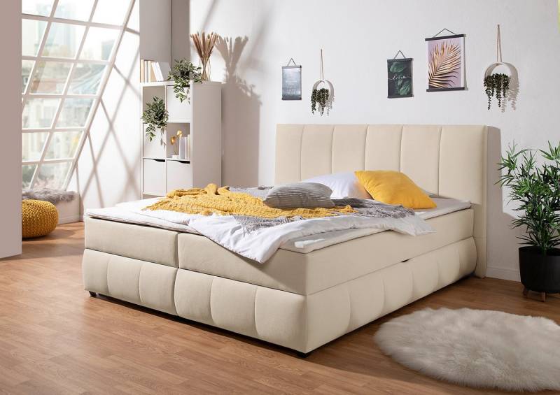 INOSIGN Boxbett Hartley inkl. Bettkasten und Topper, auch in Überlänge erhältlich, wahlweise mit Bonnell- oder TTFK-Matratze in H2, H3 o. H4 erhältlich INOSIGN Boxbett Hartley inkl. Bettkasten und Topper, auch in Überlänge erhältlich, wahlweise mit Bonnell- oder TTFK-Matratze in H2, H3 o. H4 erhältlich von INOSIGN