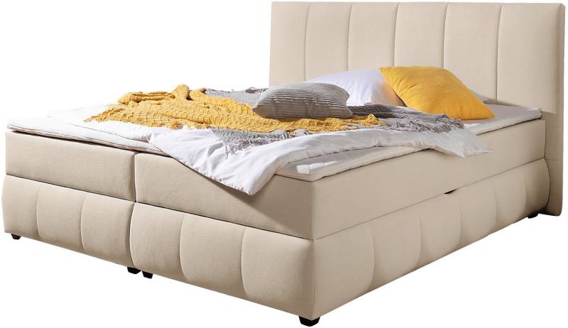 INOSIGN Boxbett Hartley inkl. Bettkasten und Topper, auch in Überlänge erhältlich, wahlweise mit Bonnell- oder TTFK-Matratze in H2, H3 o. H4 erhältlich INOSIGN Boxbett Hartley inkl. Bettkasten und Topper, auch in Überlänge erhältlich, wahlweise mit Bonnell- oder TTFK-Matratze in H2, H3 o. H4 erhältlich von INOSIGN