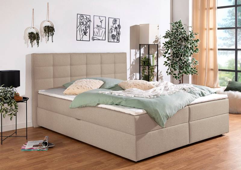 INOSIGN Boxbett Ovalo, wahlweise mit Bettkasten, in H2, H3 & H4 erhältilich INOSIGN Boxbett Ovalo, wahlweise mit Bettkasten, in H2, H3 & H4 erhältilich von INOSIGN