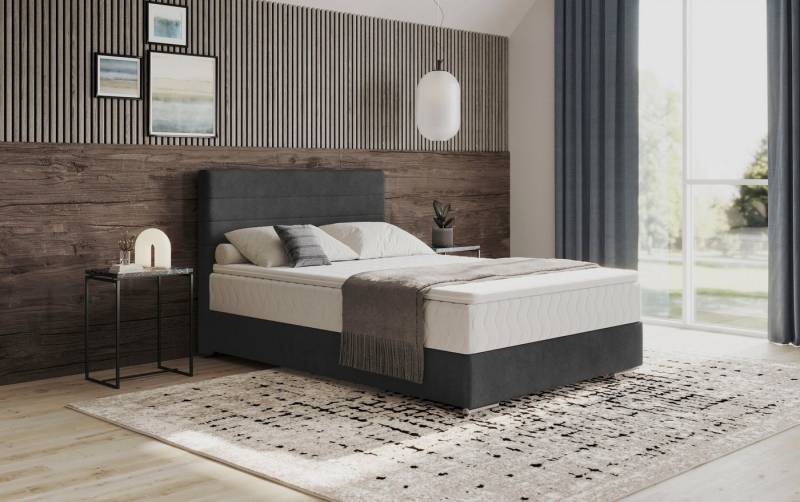 Mr. Couch Boxbett Stratus 2, inkl. Bettkasten und Matratze Mr. Couch Boxbett Stratus 2, inkl. Bettkasten und Matratze von Mr. Couch