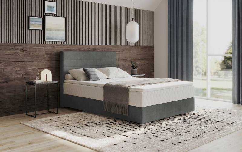 Mr. Couch Boxbett Stratus 2, inkl. Bettkasten und Matratze Mr. Couch Boxbett Stratus 2, inkl. Bettkasten und Matratze von Mr. Couch