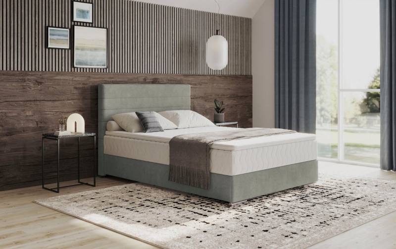 Mr. Couch Boxbett Stratus 2, inkl. Bettkasten und Matratze Mr. Couch Boxbett Stratus 2, inkl. Bettkasten und Matratze von Mr. Couch