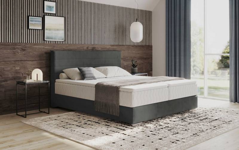 Mr. Couch Boxbett Stratus 2, inkl. Bettkasten und Matratze Mr. Couch Boxbett Stratus 2, inkl. Bettkasten und Matratze von Mr. Couch