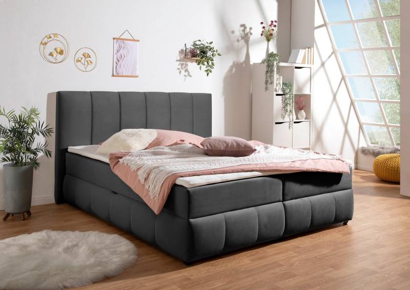 INOSIGN Boxbett Hartley, Inkl. Bettkasten & Topper, wählbar in H2, H3 o. H4 von INOSIGN