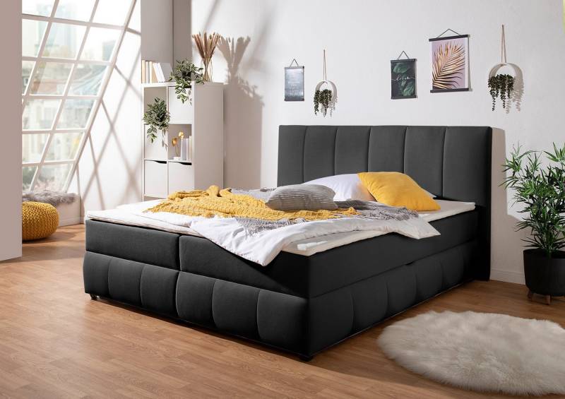 INOSIGN Boxbett Hartley, Inkl. Bettkasten & Topper, wählbar in H2, H3 o. H4 von INOSIGN
