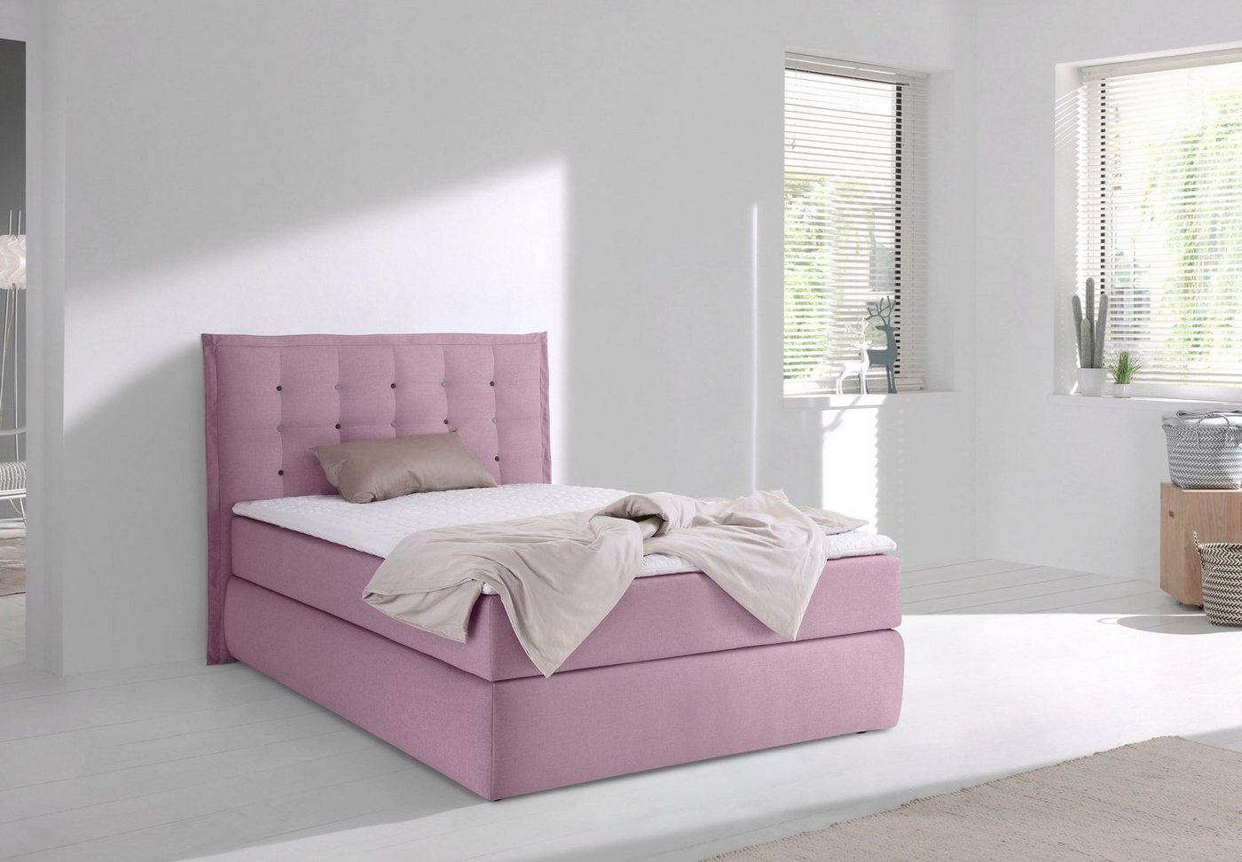 INOSIGN Boxspringbett Sagres, Kopfteil mit 2farbiger Flatterbiese und zweifarbigen Knöpfen INOSIGN Boxspringbett Sagres, Kopfteil mit 2farbiger Flatterbiese und zweifarbigen Knöpfen von INOSIGN