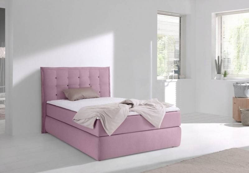 INOSIGN Boxspringbett Sagres, Kopfteil mit 2farbiger Flatterbiese und zweifarbigen Knöpfen von INOSIGN