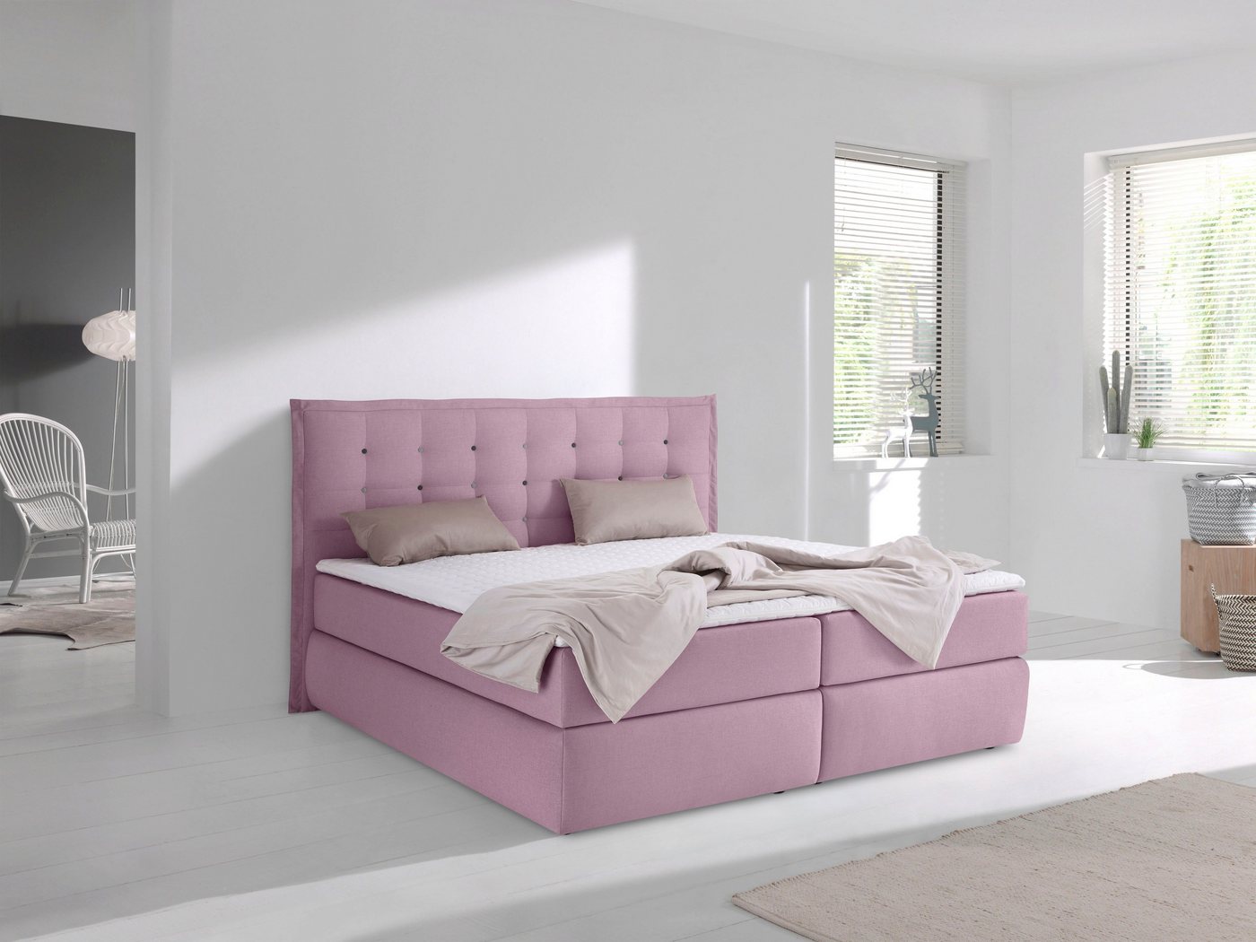 INOSIGN Boxspringbett Sagres, Kopfteil mit 2farbiger Flatterbiese und zweifarbigen Knöpfen INOSIGN Boxspringbett Sagres, Kopfteil mit 2farbiger Flatterbiese und zweifarbigen Knöpfen von INOSIGN