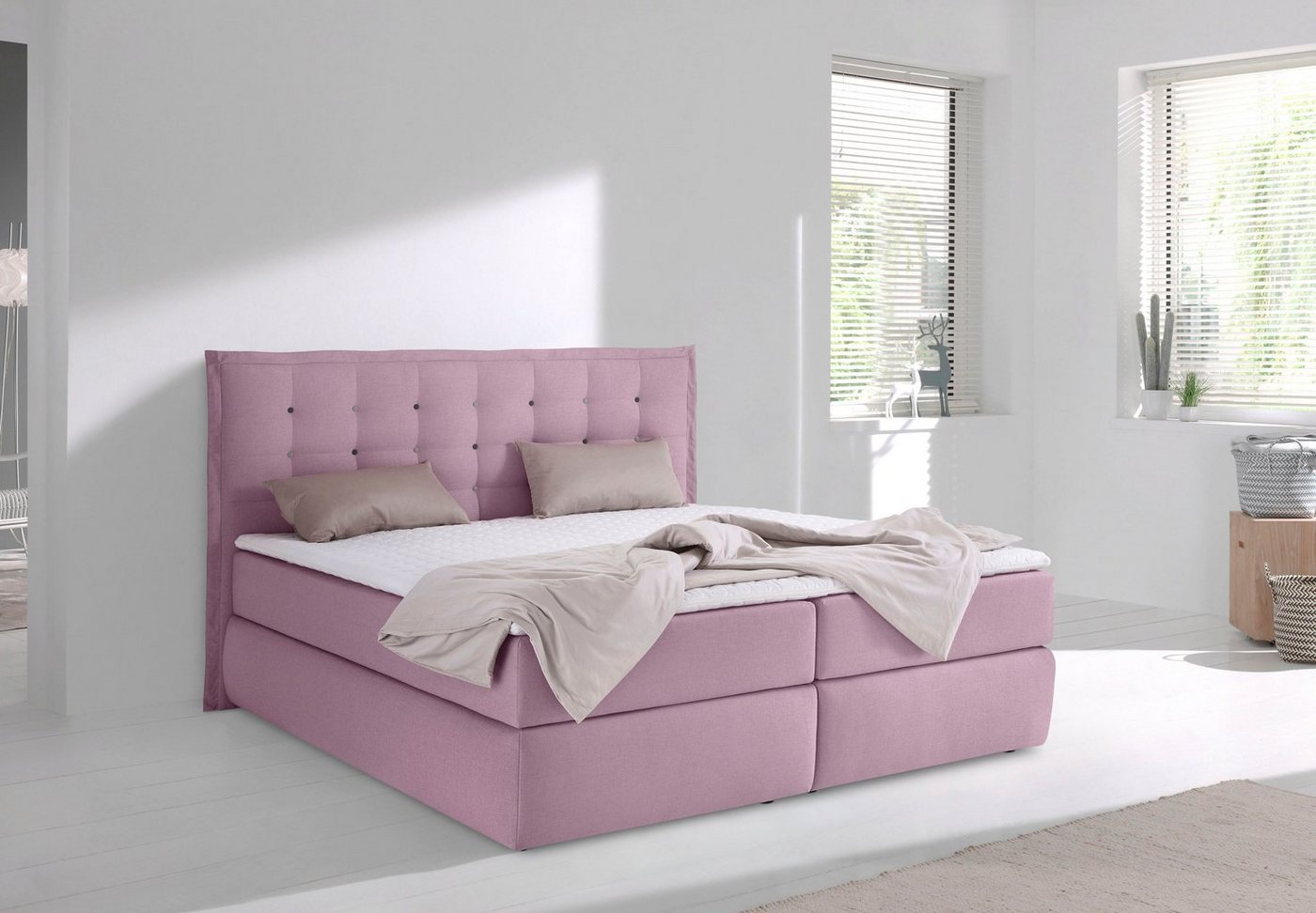 INOSIGN Boxspringbett Sagres, Kopfteil mit 2farbiger Flatterbiese und zweifarbigen Knöpfen INOSIGN Boxspringbett Sagres, Kopfteil mit 2farbiger Flatterbiese und zweifarbigen Knöpfen von INOSIGN