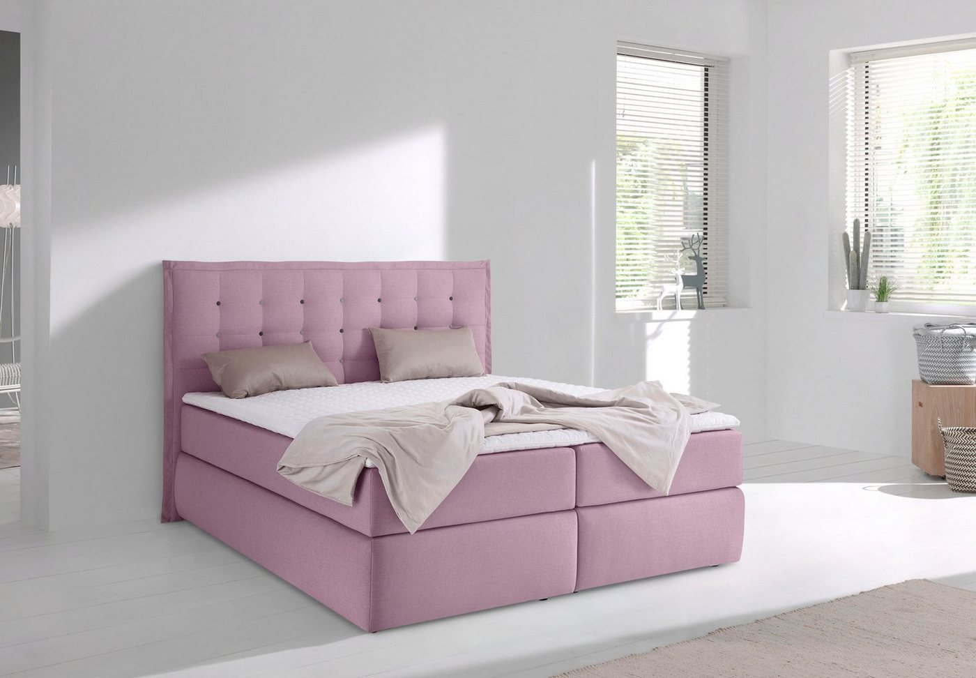 INOSIGN Boxspringbett Sagres, Kopfteil mit 2farbiger Flatterbiese und zweifarbigen Knöpfen INOSIGN Boxspringbett Sagres, Kopfteil mit 2farbiger Flatterbiese und zweifarbigen Knöpfen von INOSIGN