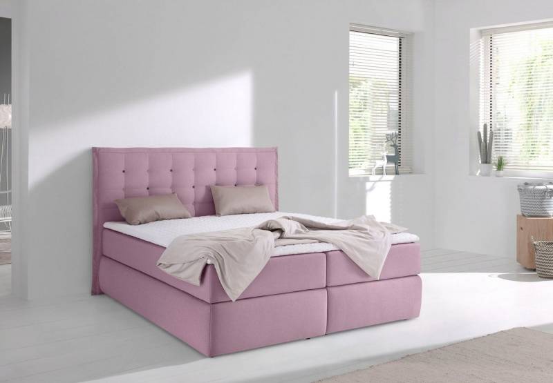 INOSIGN Boxspringbett Sagres, Kopfteil mit 2farbiger Flatterbiese und zweifarbigen Knöpfen von INOSIGN