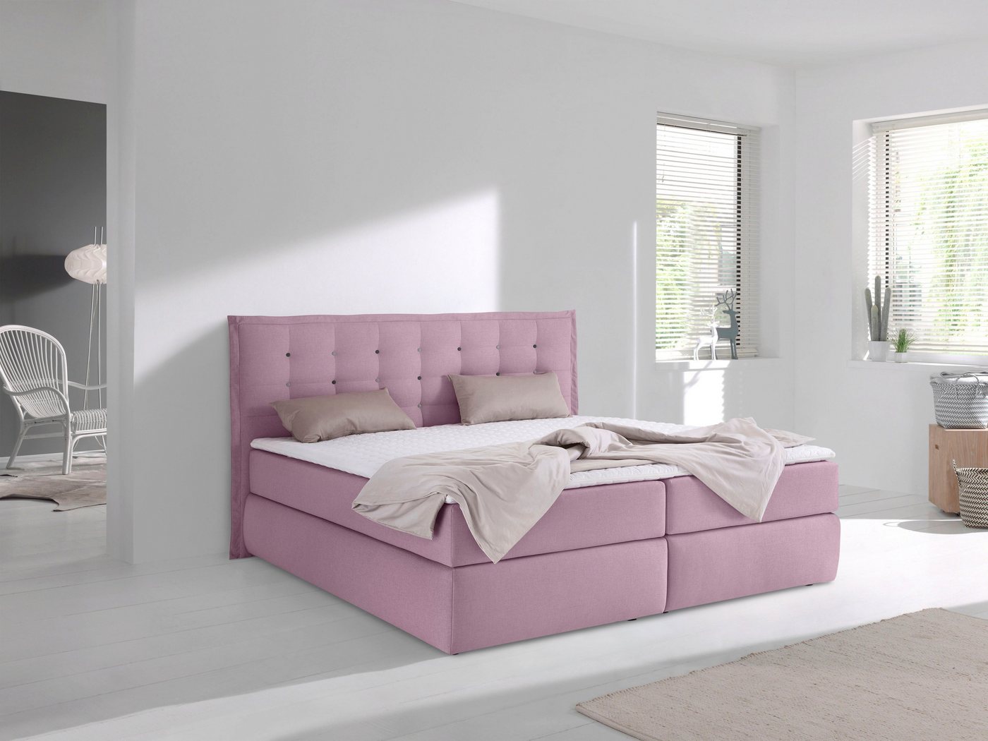 INOSIGN Boxspringbett Sagres, Kopfteil mit 2farbiger Flatterbiese und zweifarbigen Knöpfen INOSIGN Boxspringbett Sagres, Kopfteil mit 2farbiger Flatterbiese und zweifarbigen Knöpfen von INOSIGN
