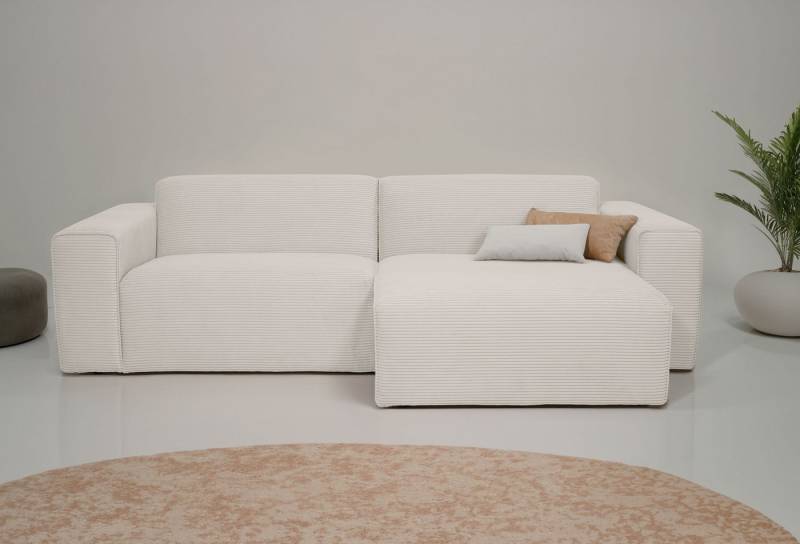 INOSIGN Ecksofa Koa,228cm, L-Form, Modulsofa, Webstoff, Cord, Designsofa, weicher Lounge-Sitzkomfort, Welleunterfederung, bodentief von INOSIGN